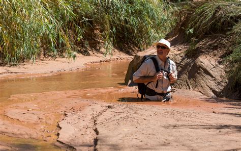 Actually, What is Quicksand? Super Easy Experiments