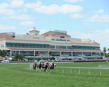 Gulfstream Cancels Live Racing as Hurricane Irma Looms - BloodHorse