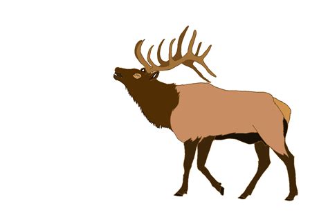 Elk Deer Clip art - Cl Cliparts png download - 1787*1200 - Free ...