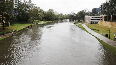 Parramatta River on target to be swimmable by 2025 | News Local