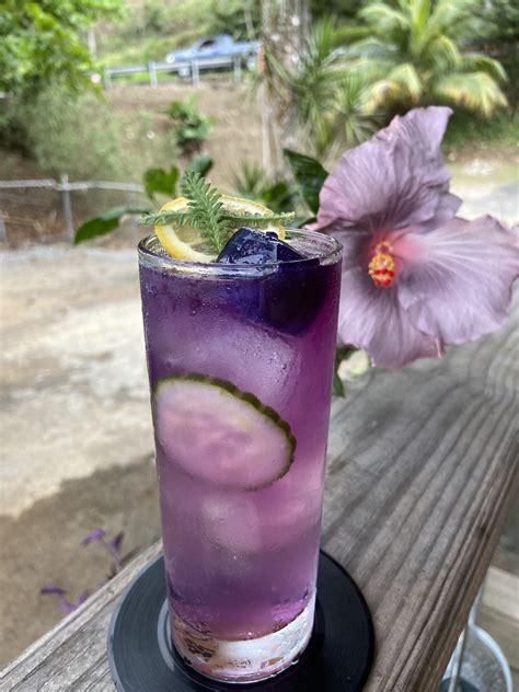 Lavender Gin & Tonic : r/cocktails