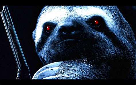 10+ Sloth HD Wallpapers and Backgrounds