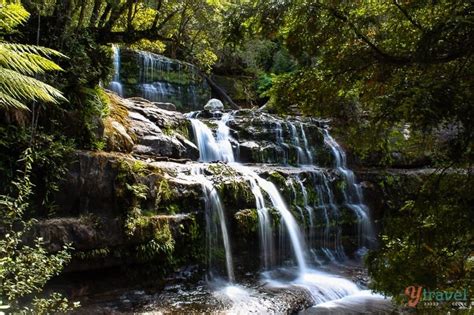 Discover Tasmania - Liffey Falls and the Central Plateau Conservation Area