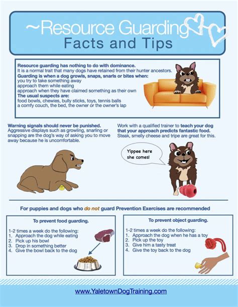 an info sheet describing the benefits of dog training