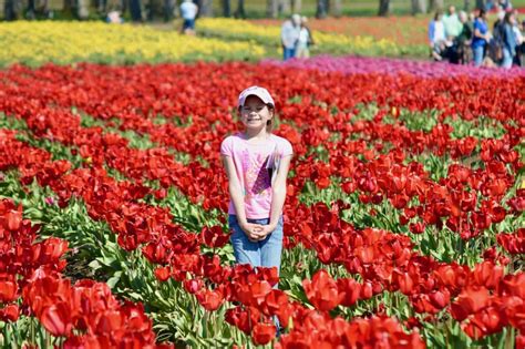 Top Oregon Flower Festivals and Gardens - Dinkum Tribe