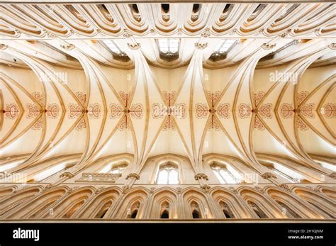 WELLS, UK - October 07, 2011. Wells Cathedral ceiling of the nave, with quadripartite vault ...