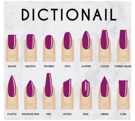 Dictionail - A guide to nail shapes and their names. #acrylic #nail #shapes #acrylicnailshapes ...