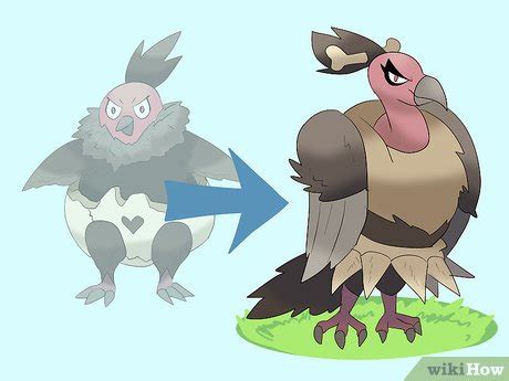 How to Evolve Vullaby: 5 Steps (with Pictures) - wikiHow