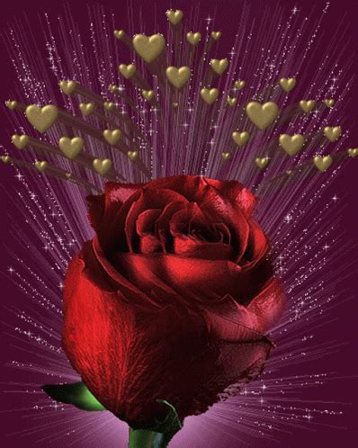 Roses Hearts GIF - Roses Hearts Love - Discover & Share GIFs