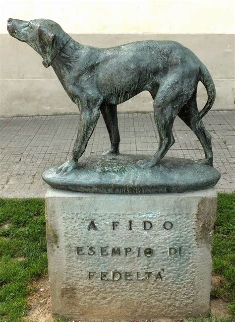 Fido, The Italian Street Dog That Waited 14 Years For His Owner to Come ...