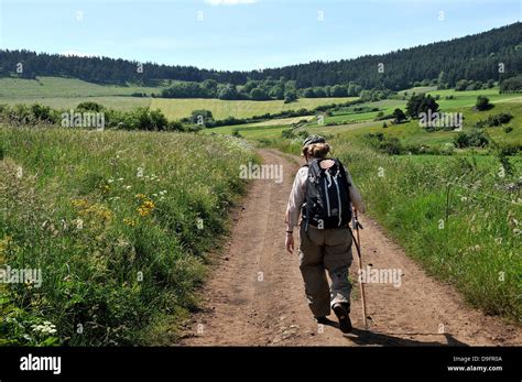 Pilgrim on the Way of St. James, Christian pilgrimage route towards Stock Photo, Royalty Free ...