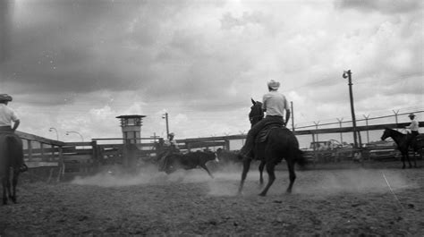 Prison Rodeo — Louisiana Prison Museum