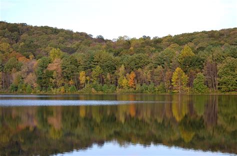 Woods Walks and Wildlife: An Autumn Woods Walk