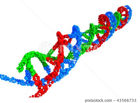 Triple helix DNA - Stock Illustration [43566733] - PIXTA