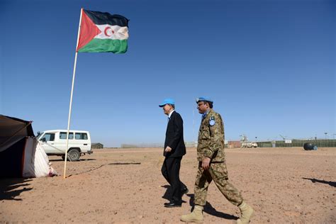 Western Sahara: What is the 40-Year Dispute All About? - Newsweek