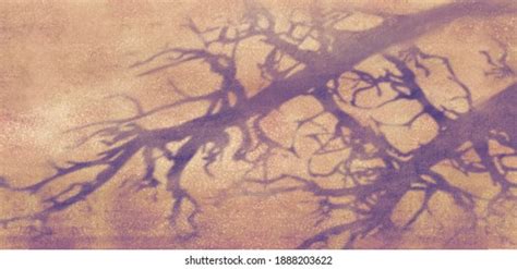 Tree Shadow Painting Artwork Abstract Art Stock Illustration 1888203622 | Shutterstock