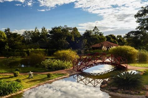 Jardim Botânico de Brasília libera acessos e autoriza ensaios fotográficos - Dicas da Capital