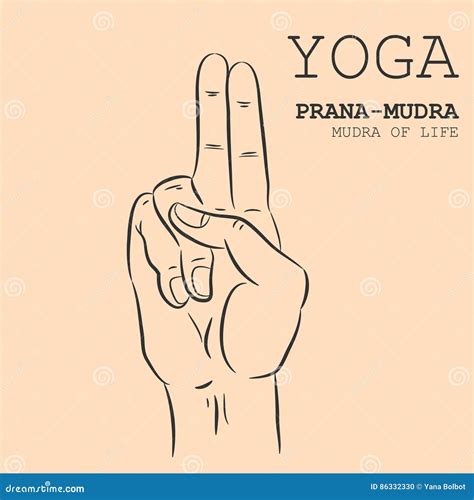 Prana-Mudra stock vector. Illustration of hand, mudra - 86332330