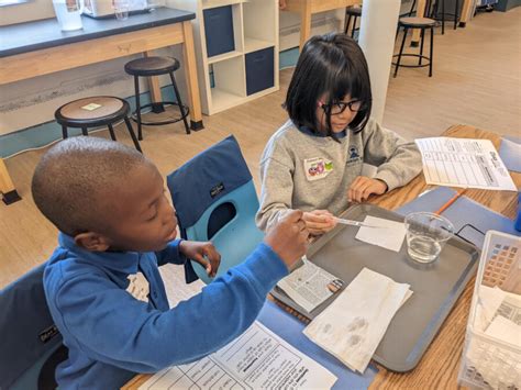 A look inside Brooklyn Rise Charter School in Downtown Brooklyn ...