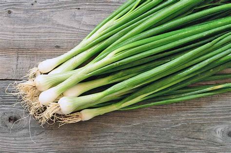 The Best Onion Cultivars to Grow at Home | Gardener’s Path