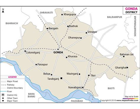 Buy Printed Gonda District Map Vinyl