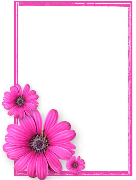 Pink Picture Flower Frame Photos8 Flowers Transparent HQ PNG Download | FreePNGImg