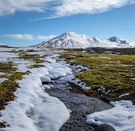 The Tundra Biome: Facts, Pictures & Information; A Land Of Frozen Beauty