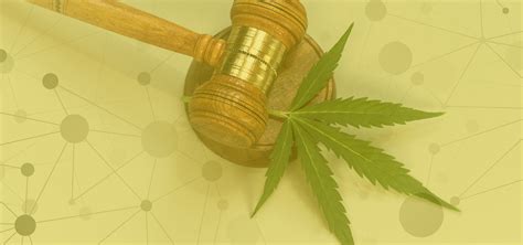 Florida Lawmaker Announces Cannabis Misdemeanor Expungement Bill - Ganjapreneur