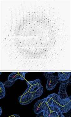 Macromolecular Crystallography