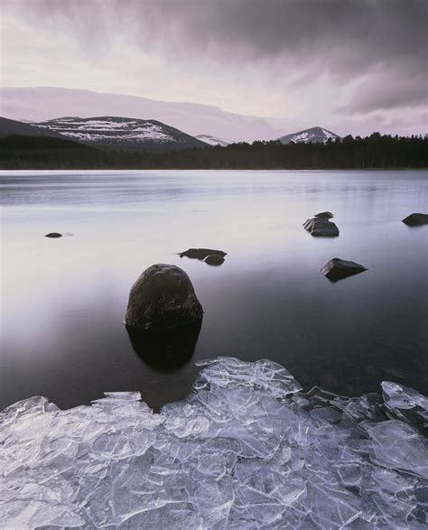 Cold Contemplation | Loch Morlich, Cairngorms, Scotland | Transient Light