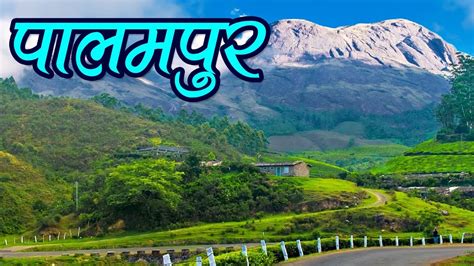 Palampur Tourism, Himachal Pradesh Travel Guide पालमपुर, हिमाचल प्रदेश | Travel Nfx - Blimpt