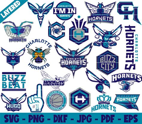 Charlotte Hornets Logos Download - vrogue.co