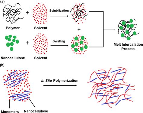 Cellulose nanoparticlesbased polymer composites preparation techniques.... | Download Scientific ...