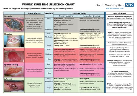 Browse documents - Portal | Wound care nursing, Nursing school notes ...