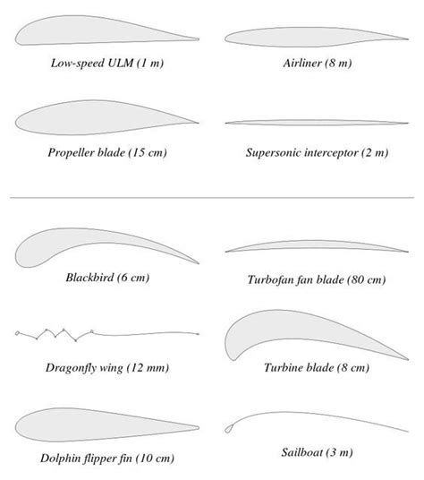 Examples of Airfoils - Airfoil - Wikipedia, the free encyclopedia ...