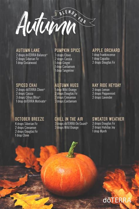 You'll love the latest Autumn diffuser blends! Use cinnamon, clove, ginger, and fi… | Fall ...