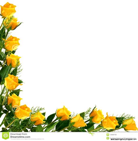 Yellow Rose Corner | Wallpapers Gallery