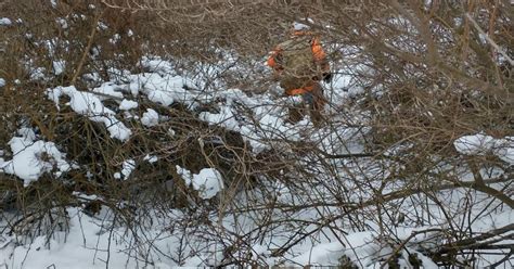 MULHERIN: Bunny hunting: Winter is prime time for rabbit hunting in Michigan | Sports ...