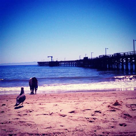 Goleta Beach | Goleta beach, California coastal, Beach