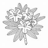 Rhododendron Coloring Page Stock Illustrations – 27  sketch template
