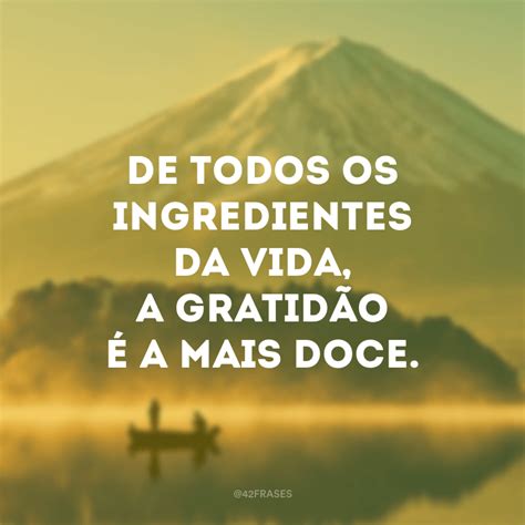 40 frases de agradecimento à vida para aprender a praticar a gratidão | Quotations, Beautiful ...