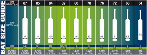 Cricket Bat Size Guide – THE CRICKET SHOP