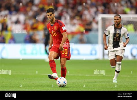 Marco Asensio during the FIFA World Cup Qatar 2022 Group E match between Spain and Germany at Al ...