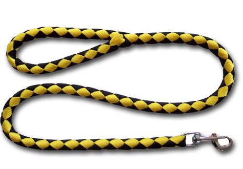 Braided Dog Leash - China Dog Collar and Dog Leash price