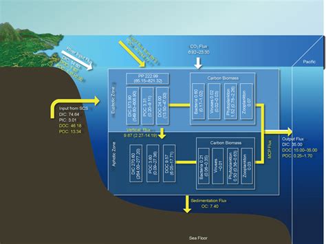 Main carbon pools and fluxes in the East China Sea. The white box... | Download Scientific Diagram