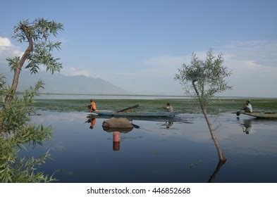 93 Wular Lake Images, Stock Photos, 3D objects, & Vectors | Shutterstock