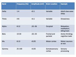 The Electroencephalogram – A Mixed Course-Based Research Approach to Human Physiology