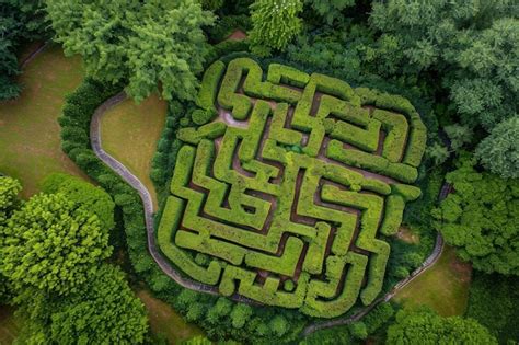 Premium Photo | Aerial View of a Maze in the Middle of a Forest A top ...