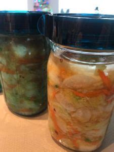 Kimchi: its probiotic benefits and the recipe | Mygutmatters.com