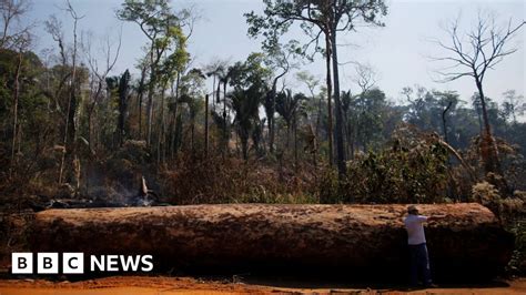 Bolsonaro calls Amazon deforestation data 'lies'